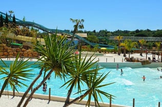 Zoomarine Algarve: Entry Ticket