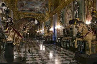Royal Museum Turin: Entry + PemCards Postcard