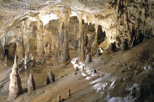 Toirano Caves: Fast Track Ticket