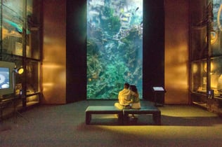 La Cité de la Mer: Biglietto d'ingresso + Audioguida