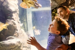 Exploris Aquarium: Entry Ticket