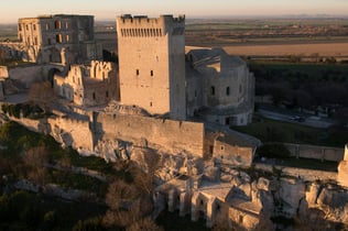 Montmajour Abbey: Entry Ticket
