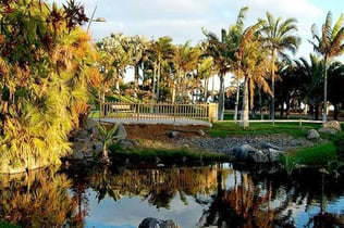 Palmetum of Santa Cruz de Tenerife: Entry Ticket