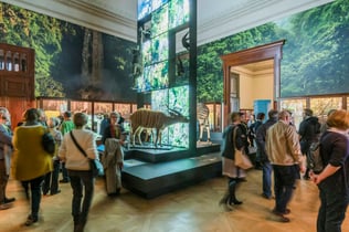 AfrikaMuseum Bryssel: Entrébiljett