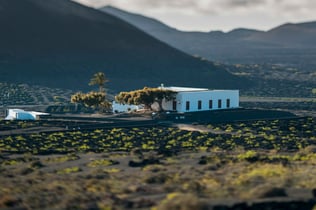 El Grifo Winery & Wine Museum