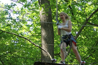 Sherwood Parc: Entry Ticket